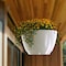 Mayne Caprio Hanging Planter - White 3885-W - alternate 5